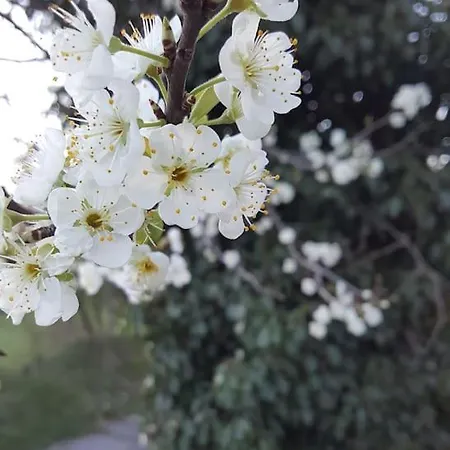 De Charme 6 Pers Avec Prive