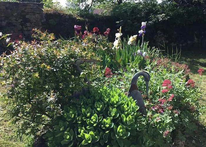 De Charme 6 Pers Avec Prive Ferienhaus *