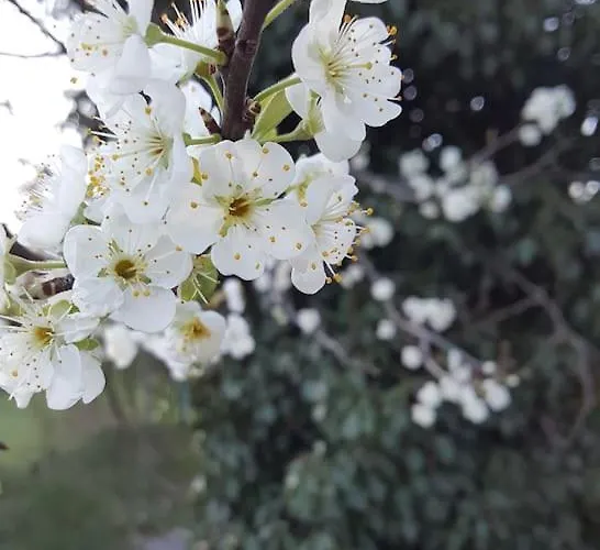 De Charme 6 Pers Avec Prive